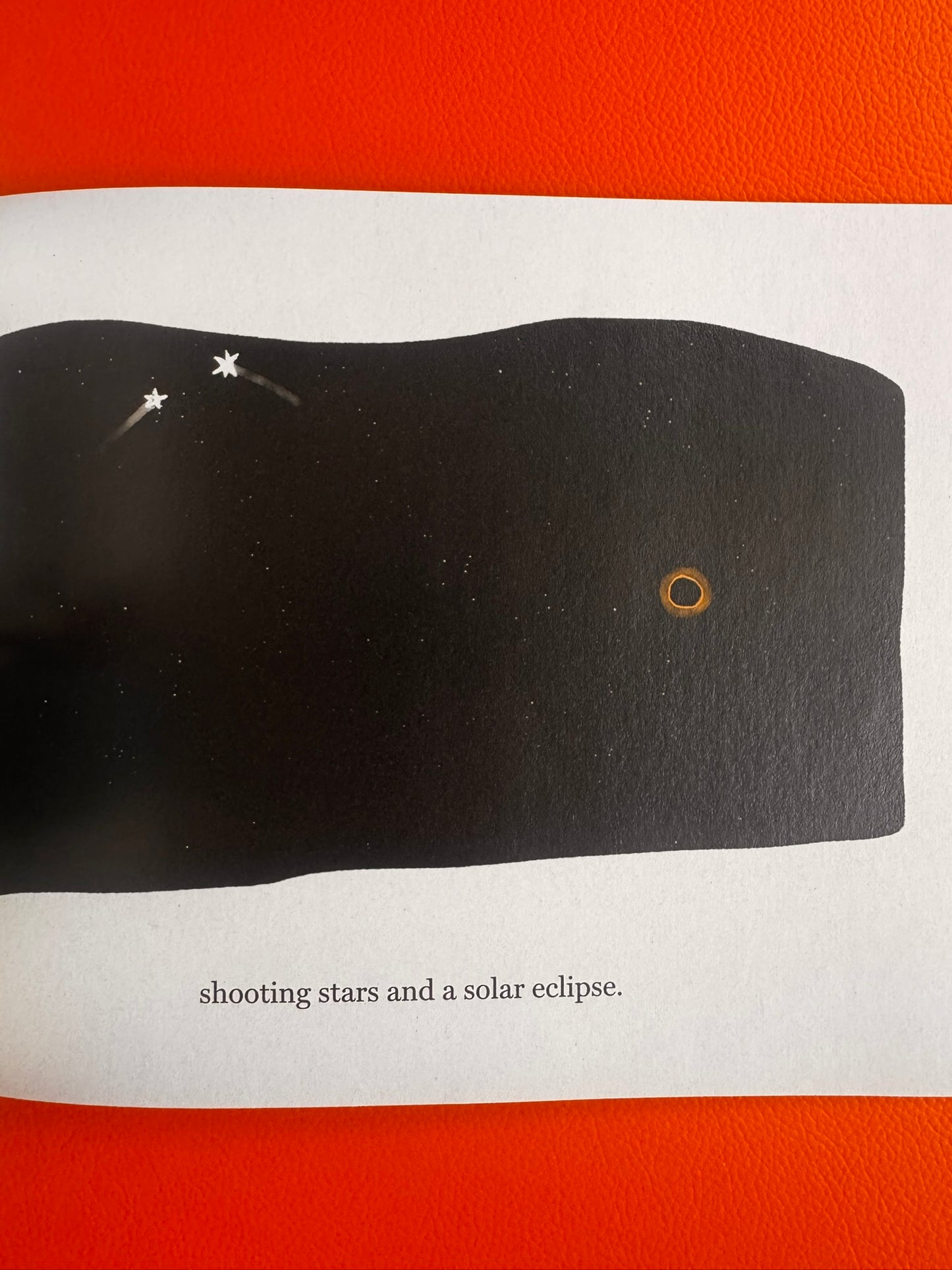 The Branch that Grew